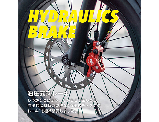 COSWHEEL MIRAI S 電動バイク 500w 原付一種 モデル / 公道走行可 1台